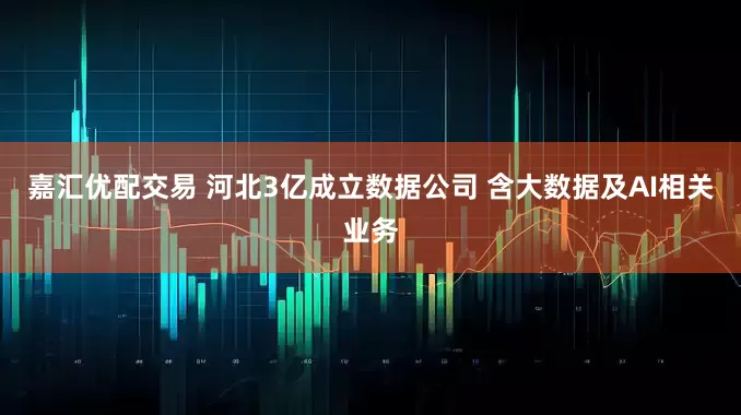 嘉汇优配交易 河北3亿成立数据公司 含大数据及AI相关业务