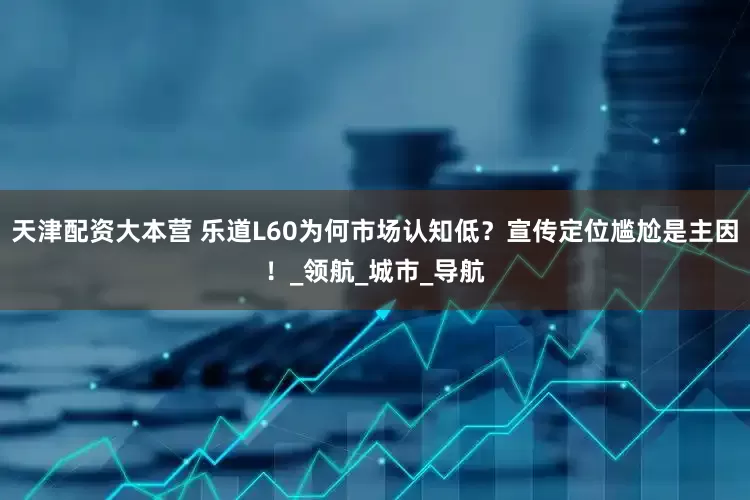 天津配资大本营 乐道L60为何市场认知低？宣传定位尴尬是主因！_领航_城市_导航