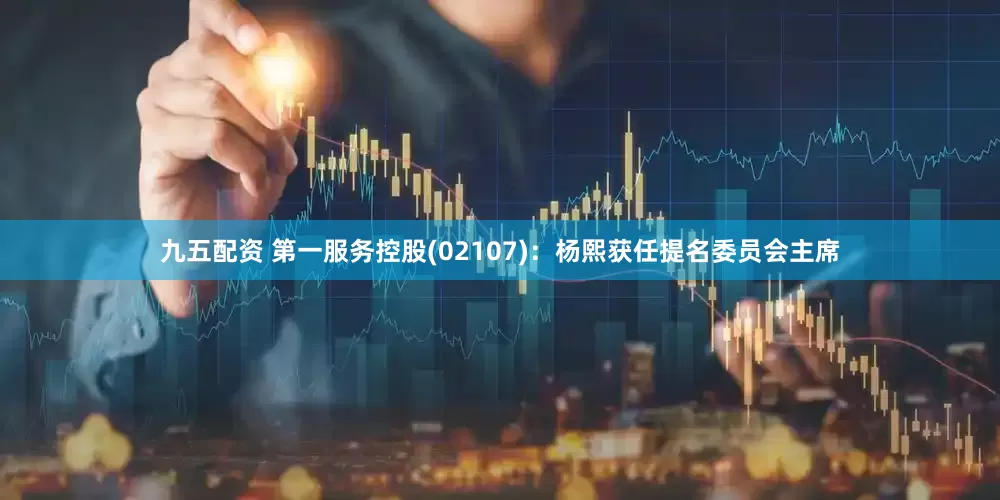 九五配资 第一服务控股(02107)：杨熙获任提名委员会主席