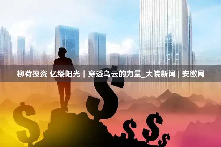 柳荷投资 亿缕阳光｜穿透乌云的力量_大皖新闻 | 安徽网