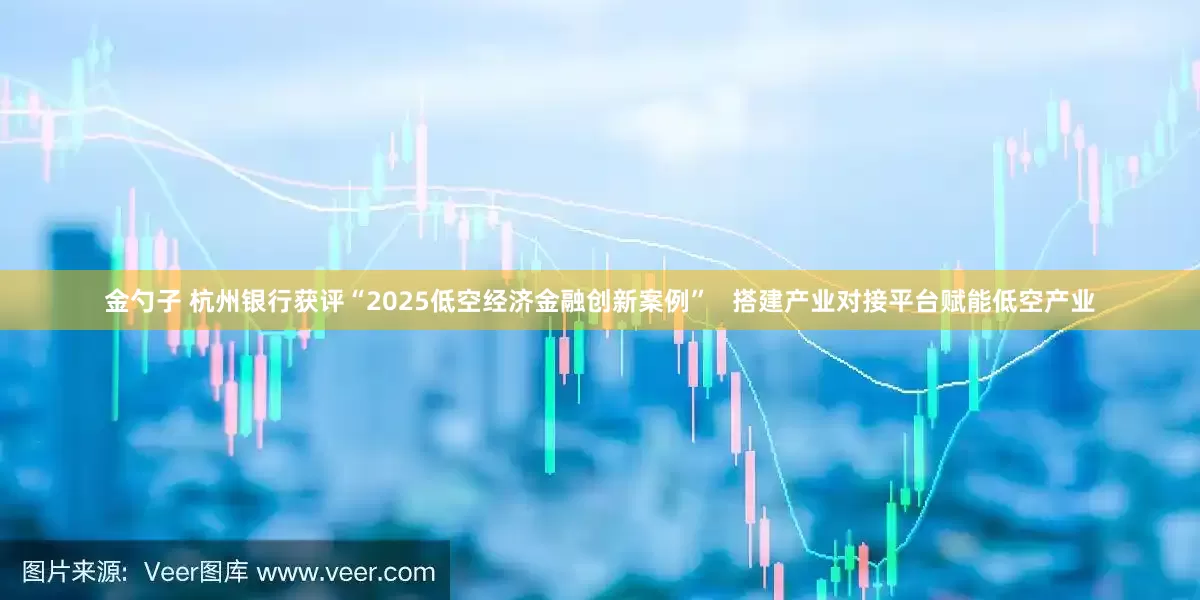 金勺子 杭州银行获评“2025低空经济金融创新案例”   搭建产业对接平台赋能低空产业